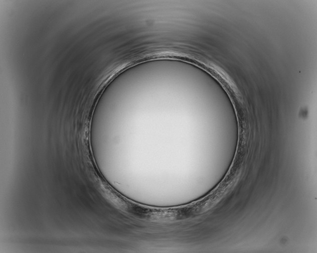 X0000099410793200805090726