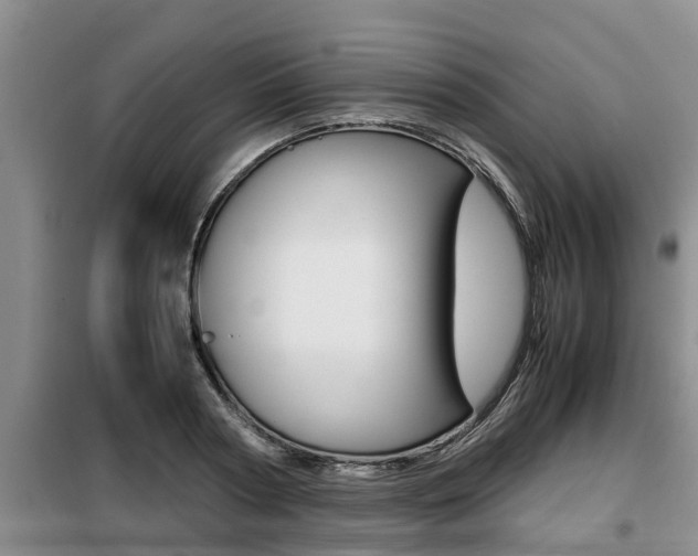 X0000099410794200805090726