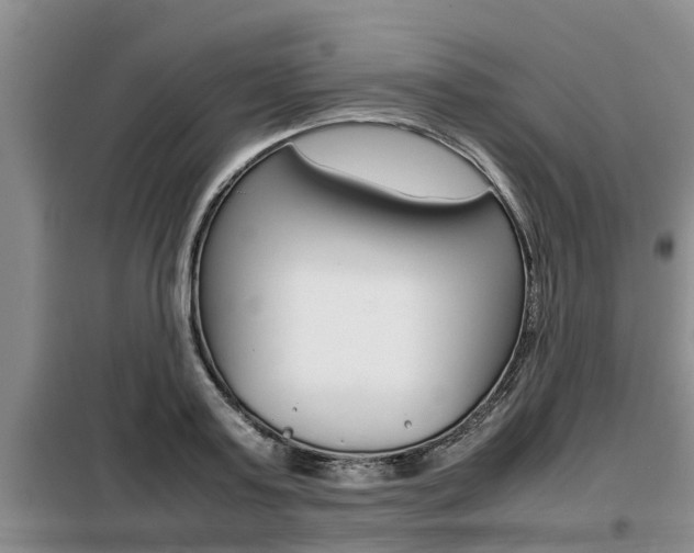 X0000099410795200805090726