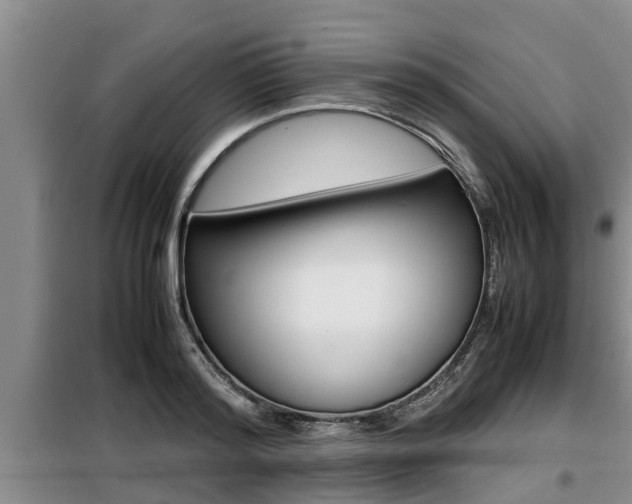 X0000099410796200805090726