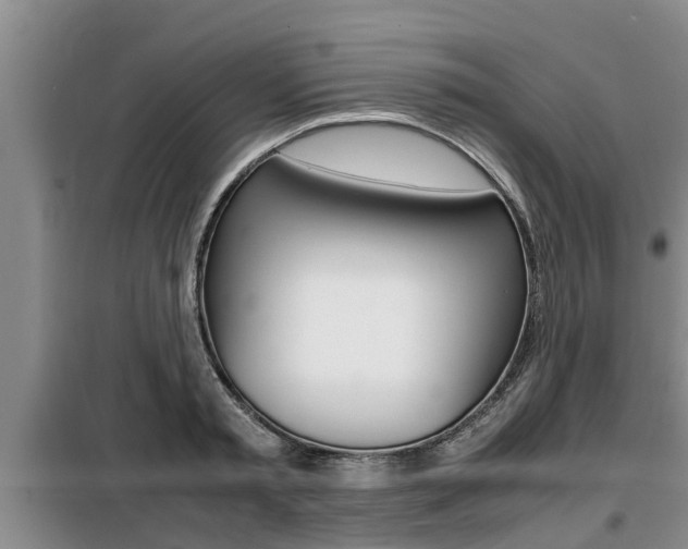 X0000099410797200805090726