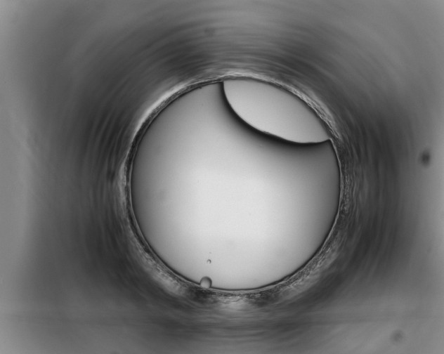 X0000099410798200805090726