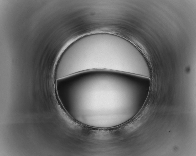 X0000099410800200805090726