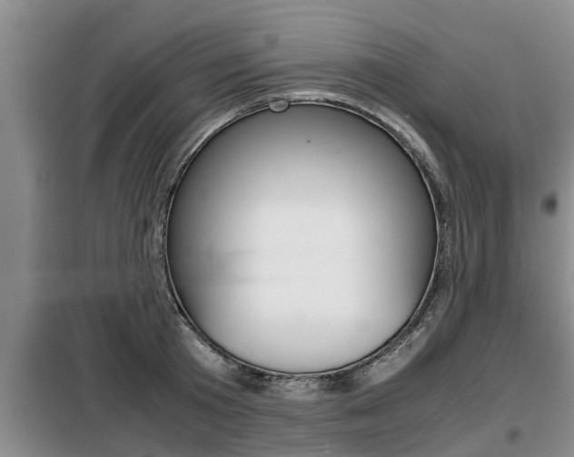 X0000099410801200805090726
