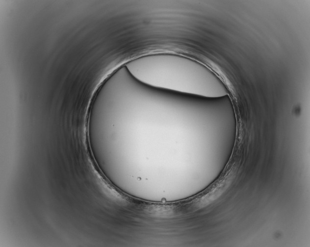 X0000099410802200805090726