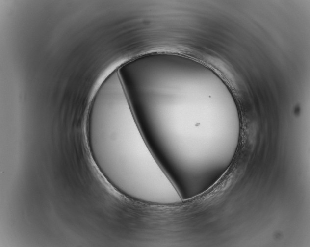 X0000099410804200805090726