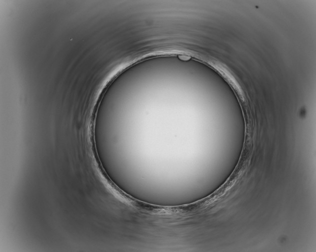 X0000099410805200805090726