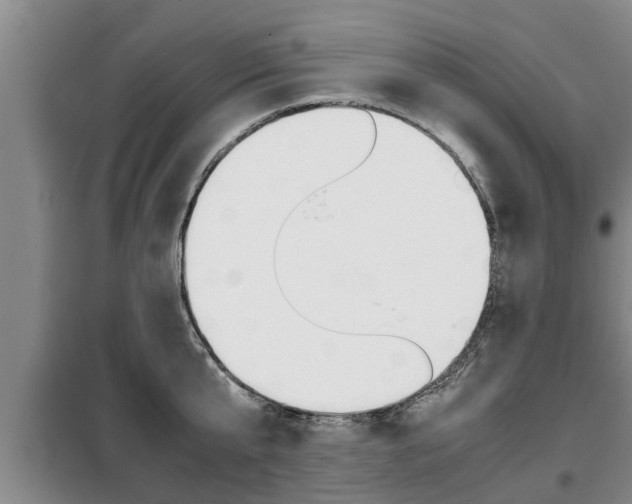X0000099410807200805090726