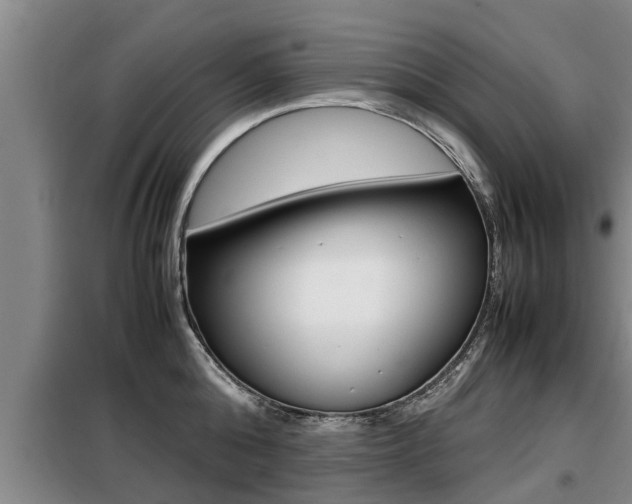 X0000099410808200805090726