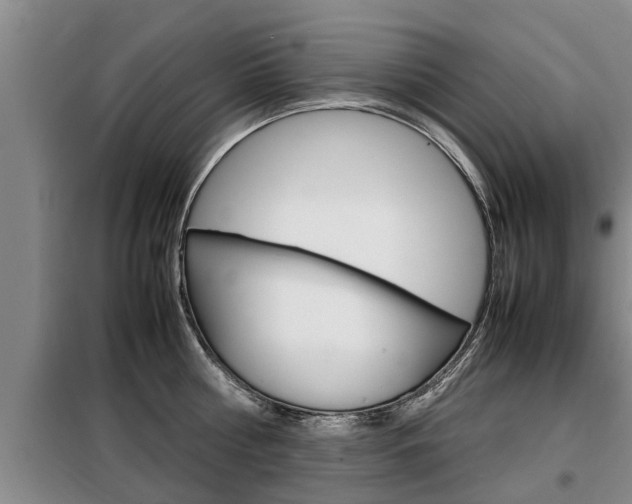 X0000099410810200805090726