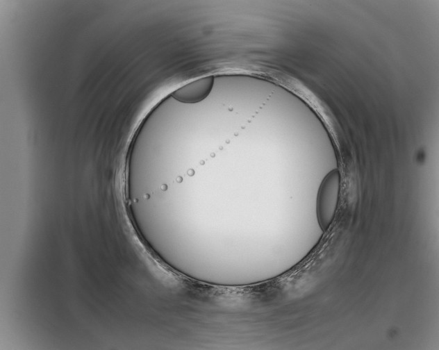 X0000099410811200805090726