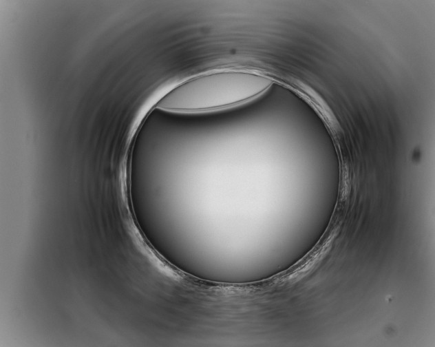 X0000099410812200805090726