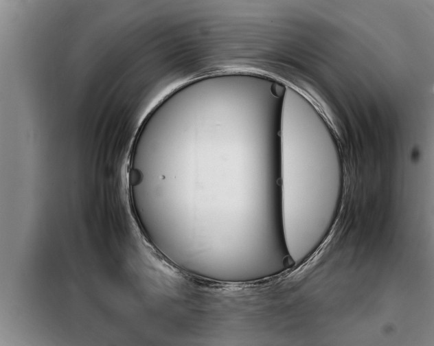 X0000099410814200805090726