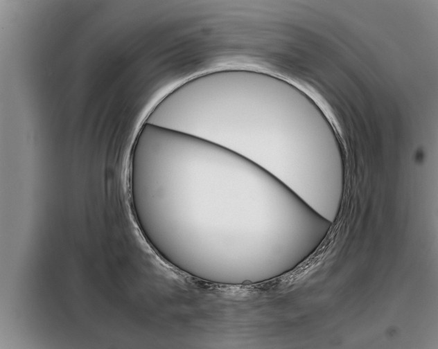 X0000099410815200805090726