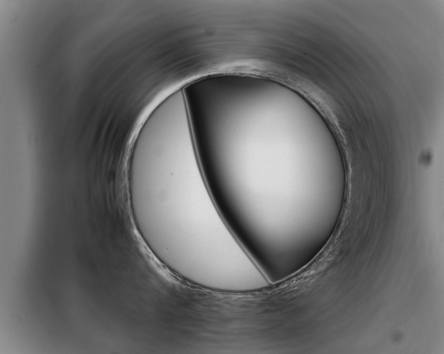 X0000099410816200805090726