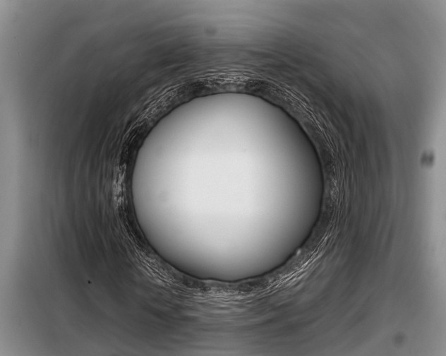 X0000099410818200805090725