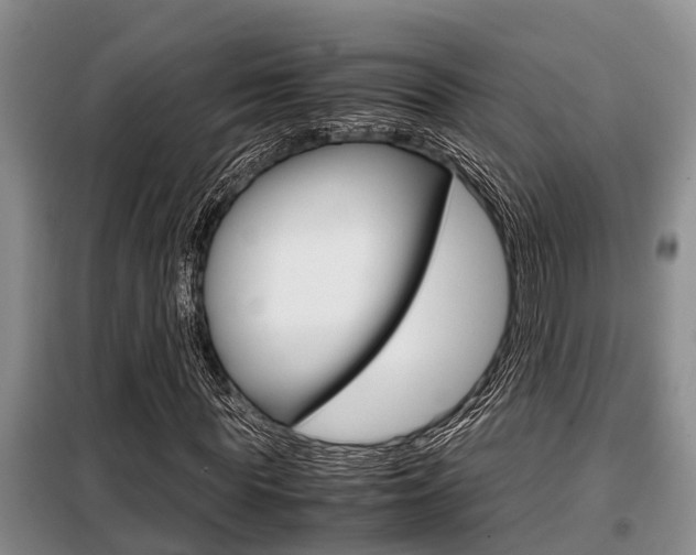 X0000099410819200805090725