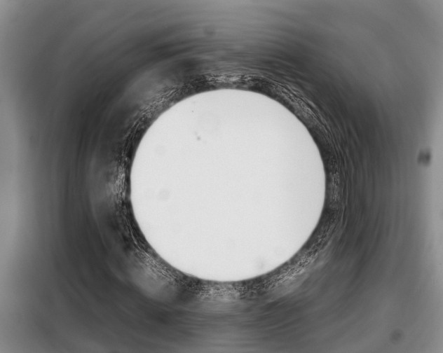 X0000099410820200805090725