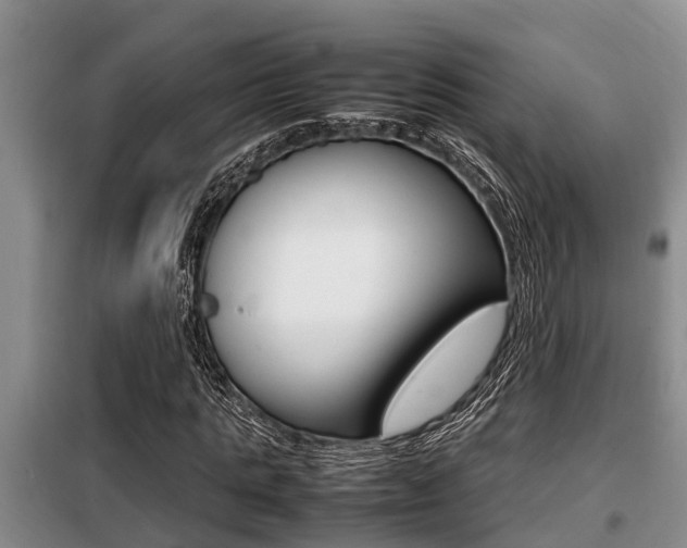 X0000099410821200805090725