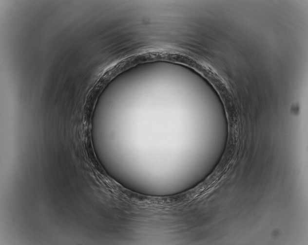 X0000099410822200805090725