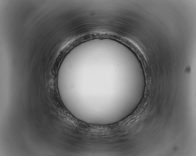 X0000099410823200805090725