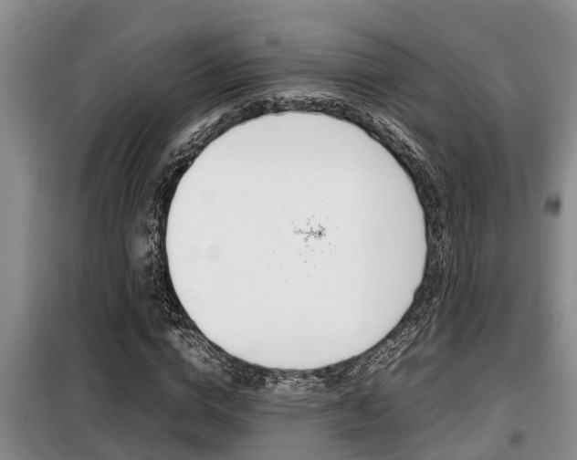 X0000099410824200805090725