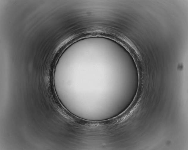 X0000099410826200805090725