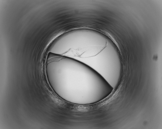 X0000099410827200805090725