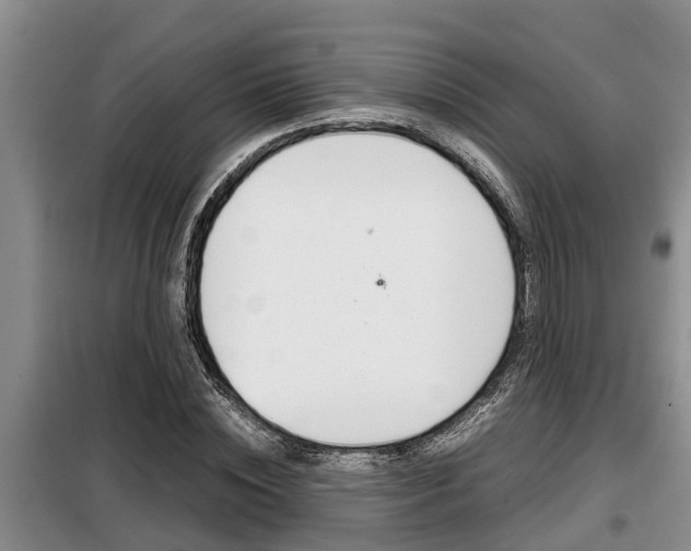 X0000099410828200805090725