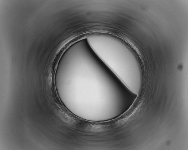 X0000099410829200805090725