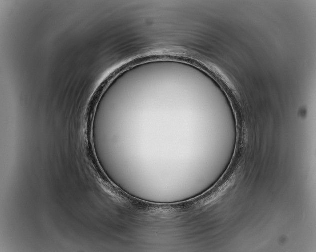 X0000099410830200805090725