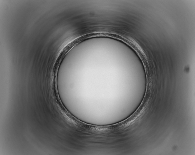 X0000099410831200805090725