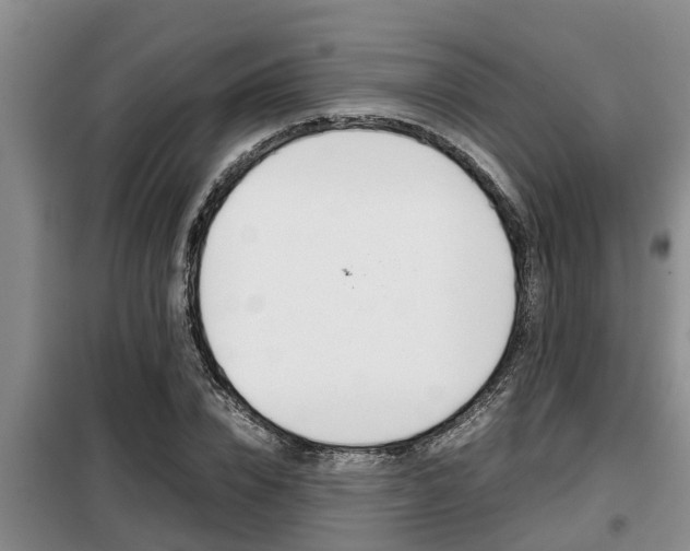 X0000099410832200805090725