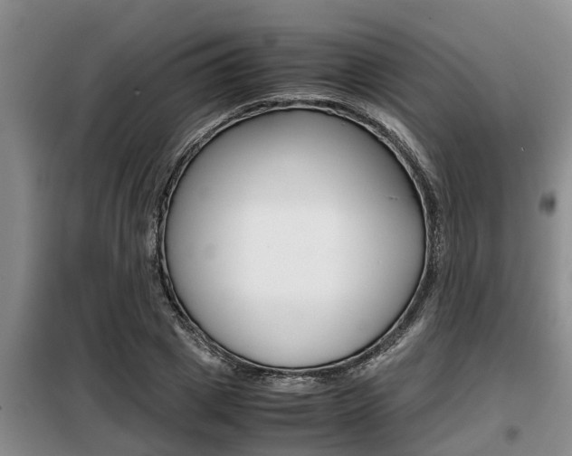 X0000099410833200805090725