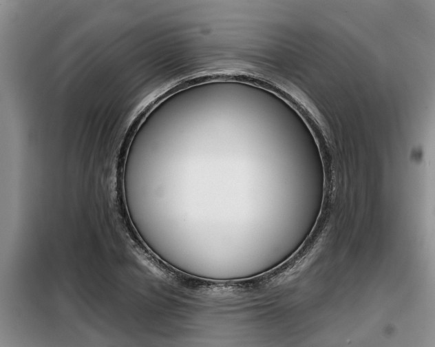 X0000099410834200805090725