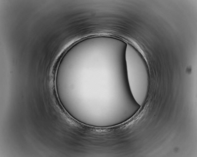 X0000099410835200805090725