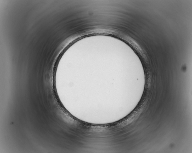 X0000099410836200805090725
