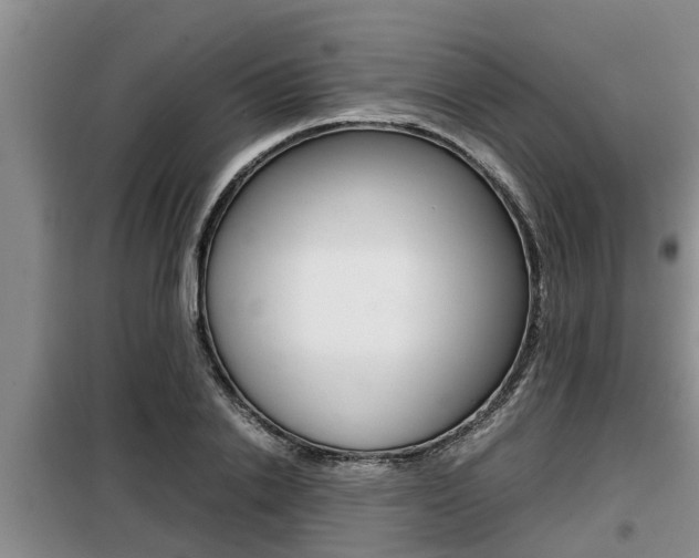 X0000099410838200805090725