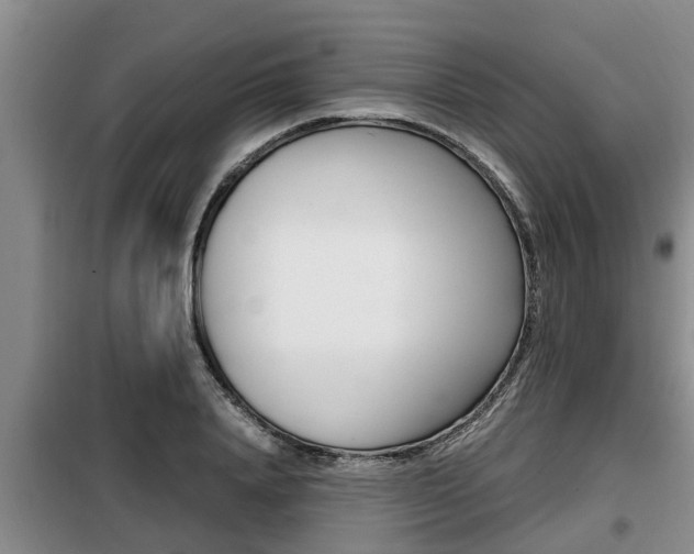 X0000099410840200805090725