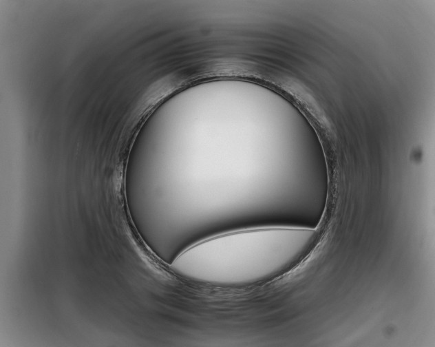 X0000099410841200805090725