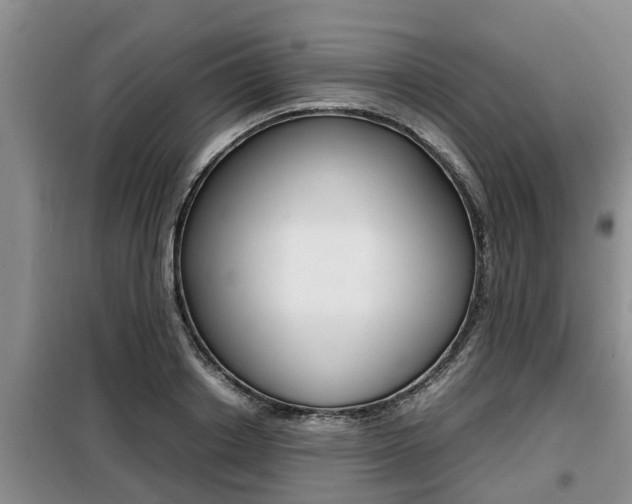 X0000099410842200805090725