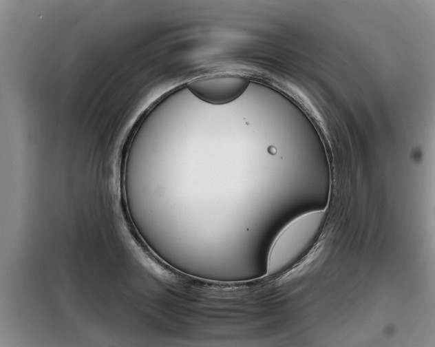 X0000099410843200805090725