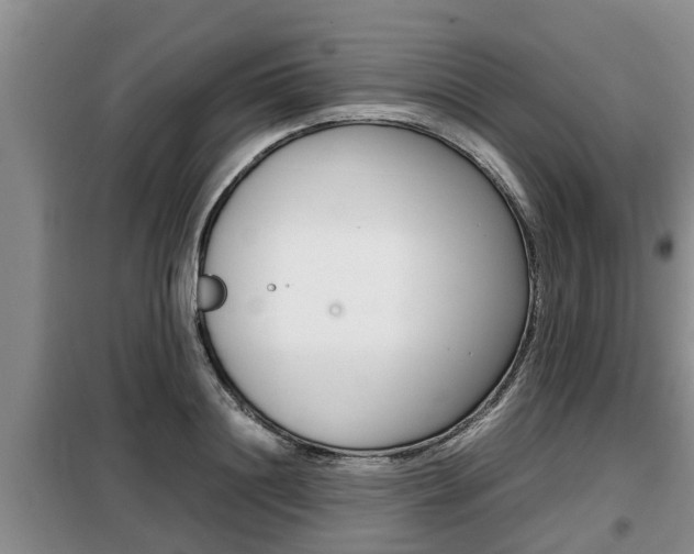 X0000099410844200805090725