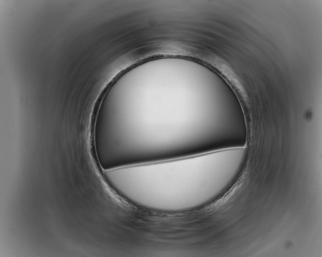 X0000099410845200805090725