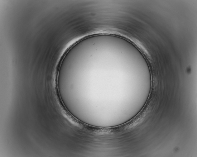 X0000099410846200805090725
