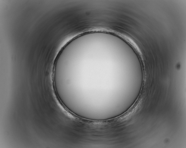 X0000099410847200805090725