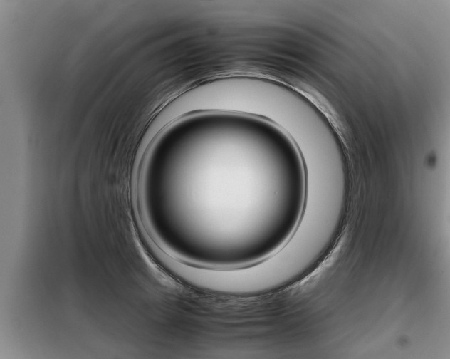 X0000099410849200805090726