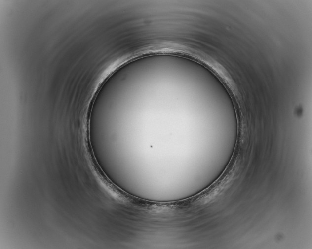 X0000099410850200805090726