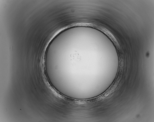 X0000099410852200805090726