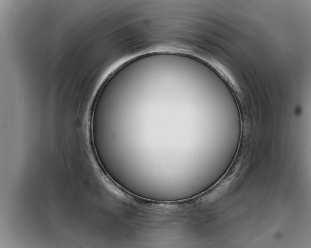 X0000099410854200805090726